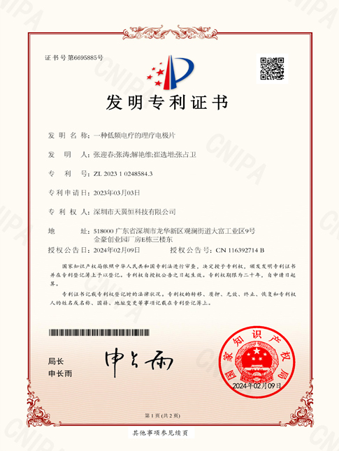 低频电疗电极片发明专利